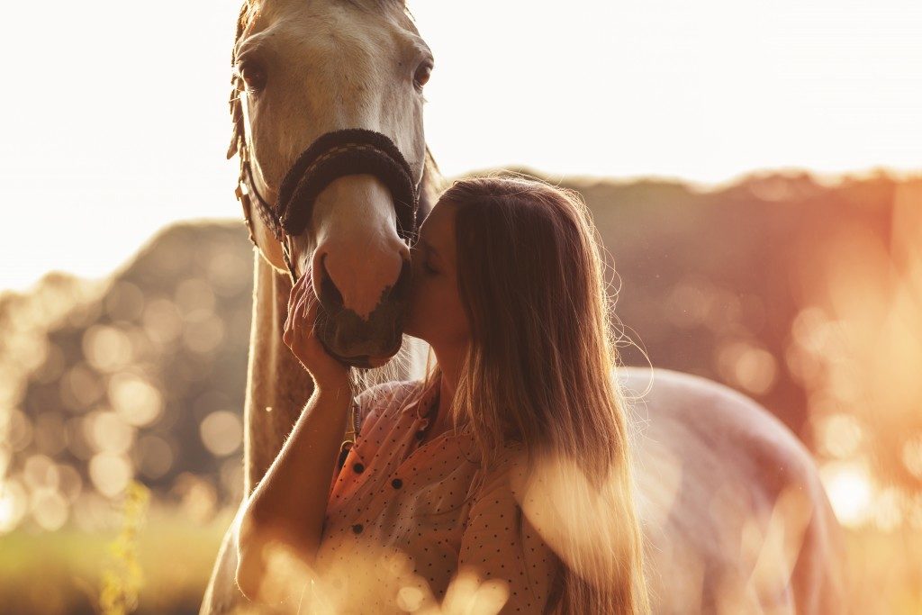 horse and owner