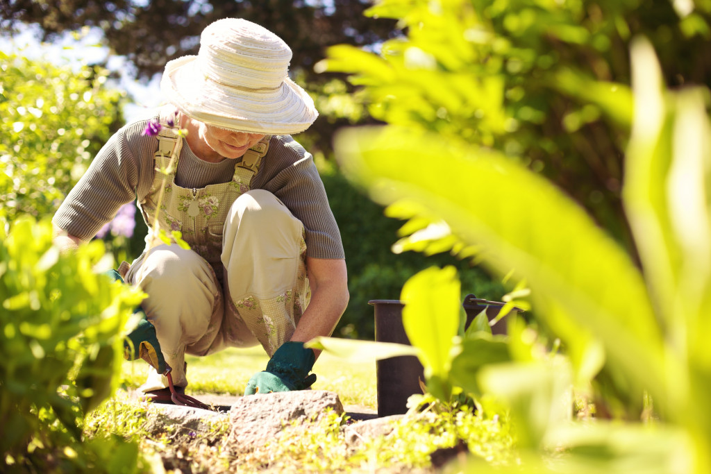 Elderly woman doing gardening outdoors