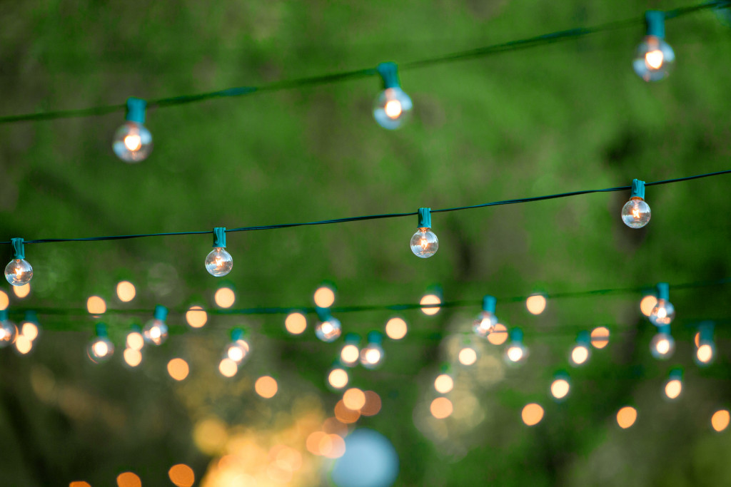 Blurry photo of string lights hung on trees